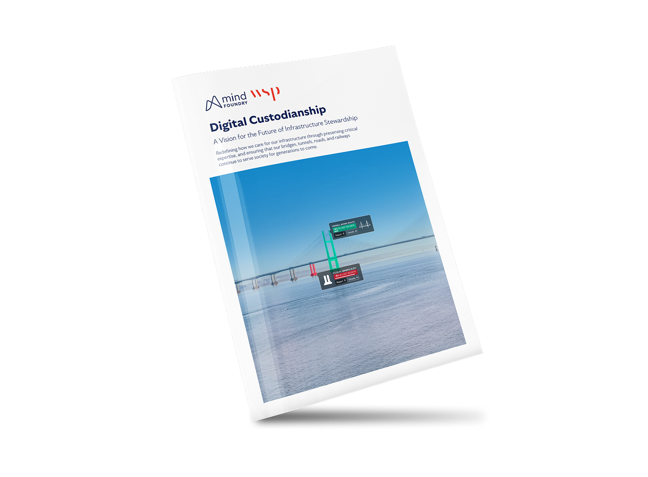 Digital Custodianship Vision paper Mockup