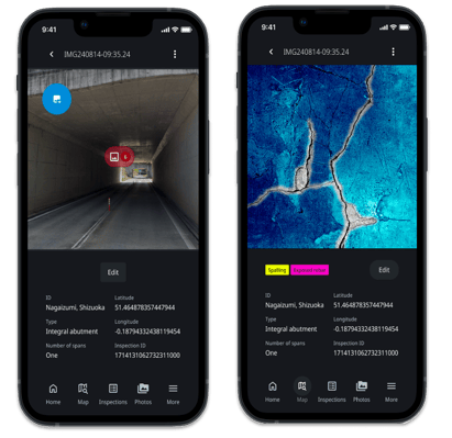 Inspection App