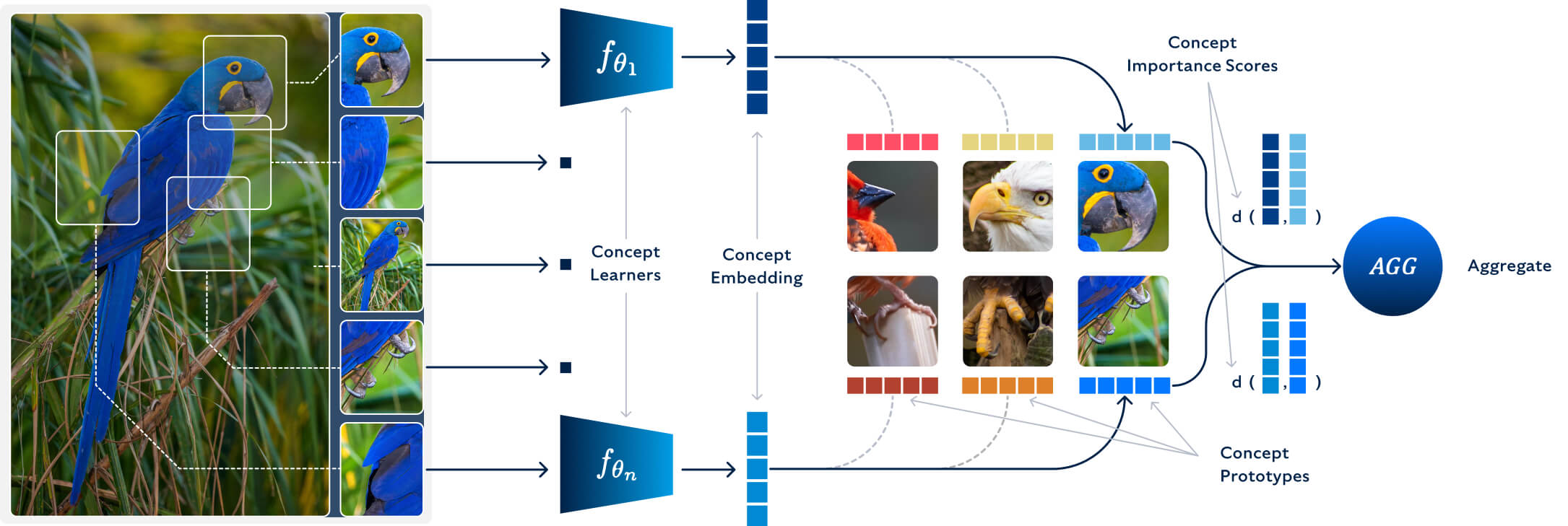 How an AI analyses an image and determines whether it contains a bird