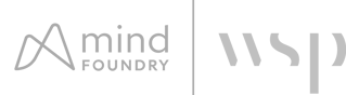 mind foundry wsp