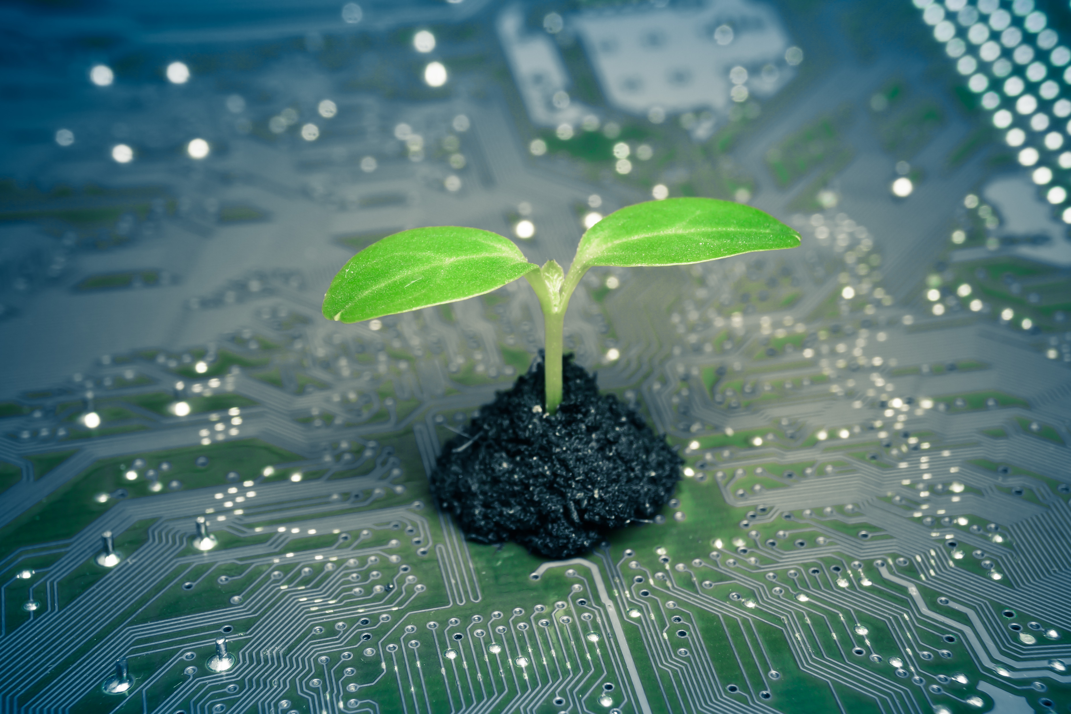 Green AI