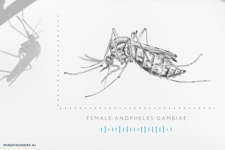 World Mosquito Day: Fighting Malaria with Machine Learning